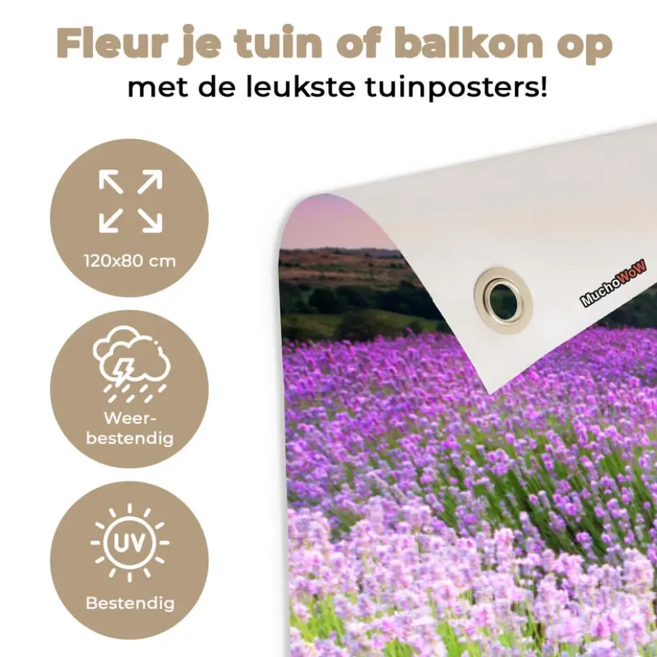 Tuinposter 120x80 cm Bloemen - Lavendel - Paars - Lucht - Zonsondergang - Weide