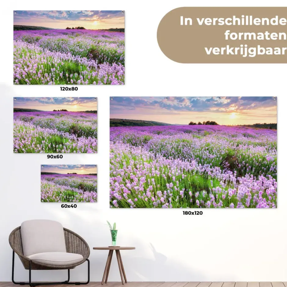 Tuinposter 120x80 cm Bloemen - Lavendel - Paars - Lucht - Zonsondergang - Weide
