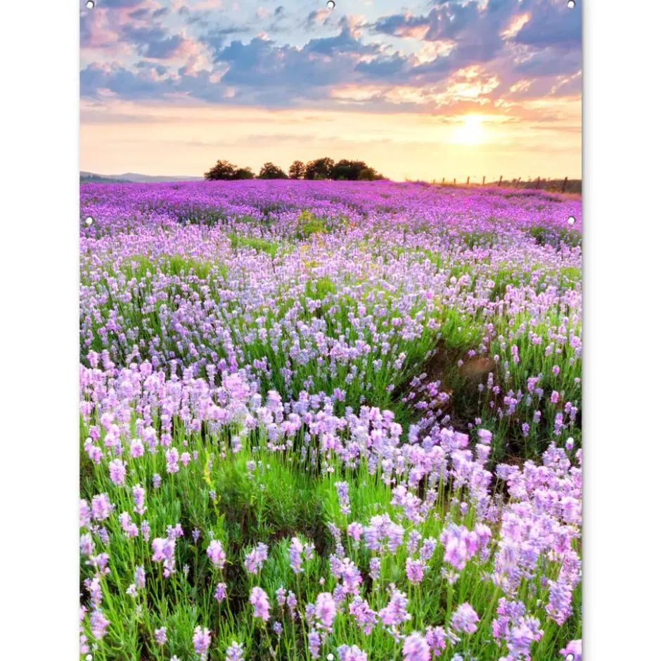 Tuinposter 120x160 cm Bloemen - Lavendel - Paars - Lucht - Zonsondergang - Weide