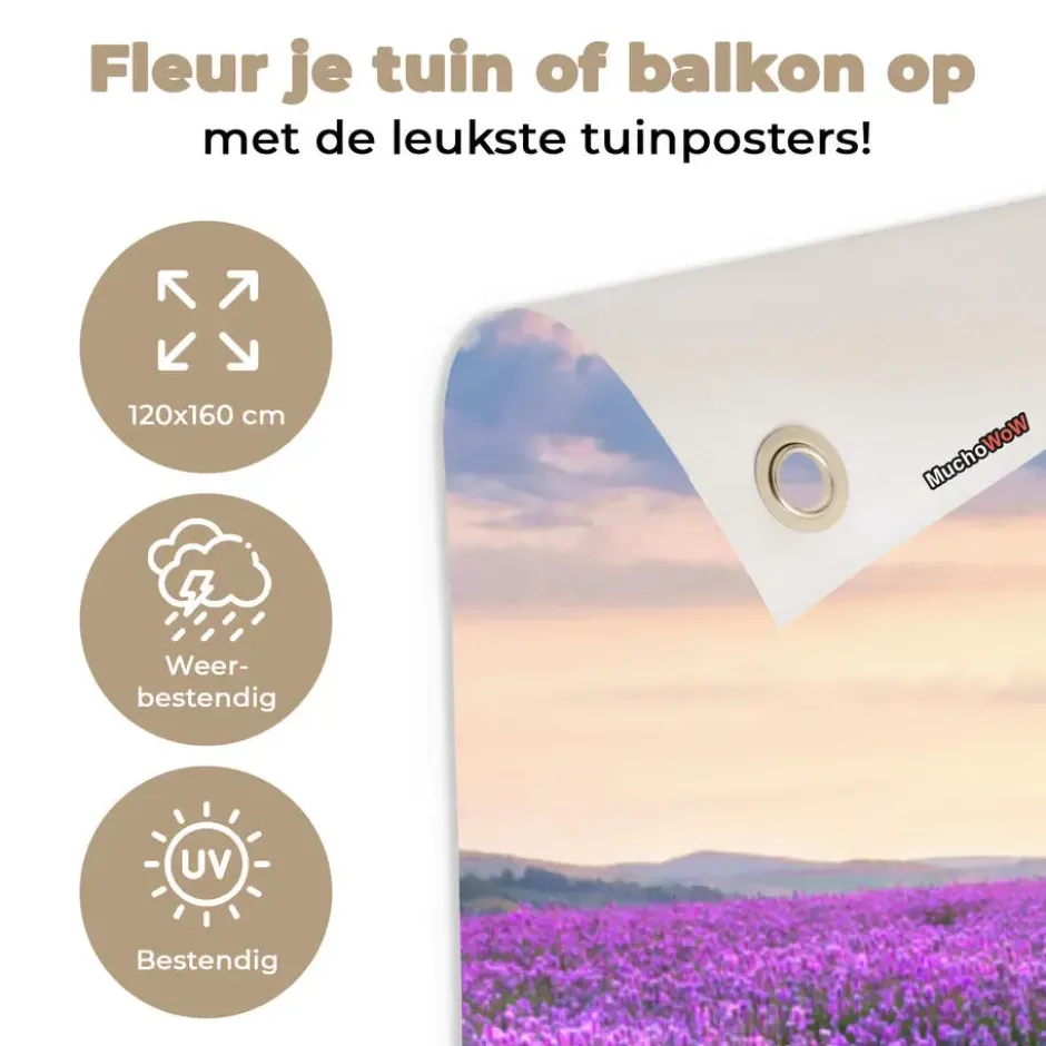 Tuinposter 120x160 cm Bloemen - Lavendel - Paars - Lucht - Zonsondergang - Weide
