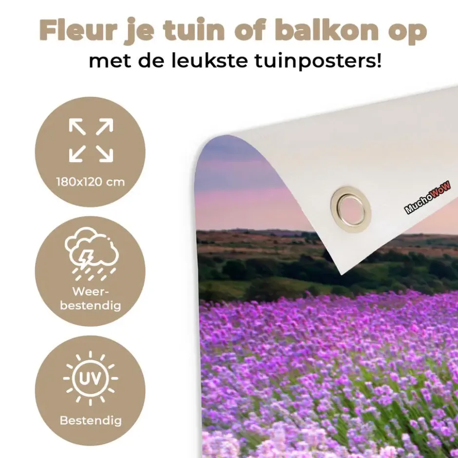 Tuinposter 180x120 cm Bloemen - Lavendel - Paars - Lucht - Zonsondergang - Weide
