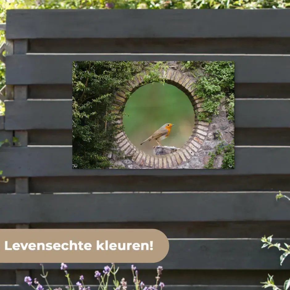 Tuinposter 90x60 cm Vogel - Doorkijk - Roodborstje