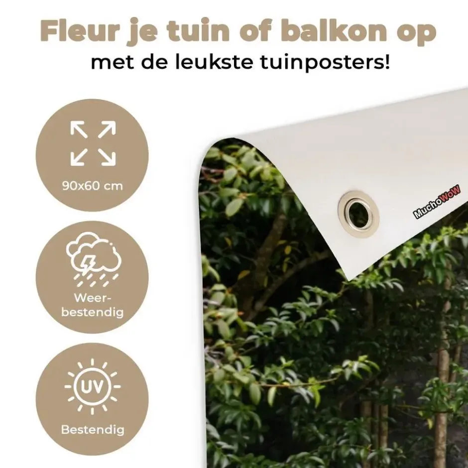 Tuinposter 90x60 cm Vogel - Doorkijk - Roodborstje