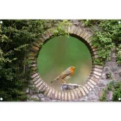 Tuinposter 90x60 cm Vogel - Doorkijk - Roodborstje