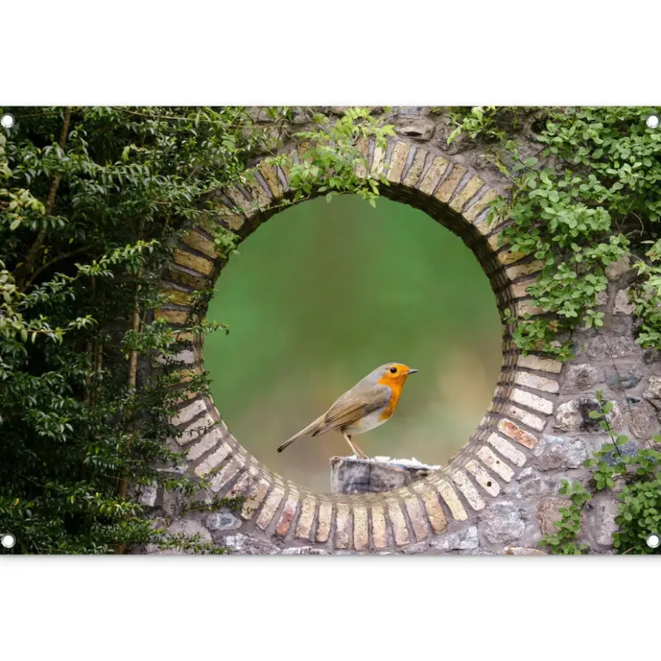 Tuinposter 90x60 cm Vogel - Doorkijk - Roodborstje