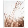 Tuinposter Zomer - 80 x 60 - Beige