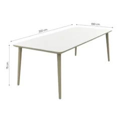 VDG Noa/Sofia stapelbare wicker 6-persoons dining tuinset 220x100 cm. - Latte