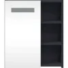 vidaXL - Badkamerkast met spiegel en LED 45x13x52 cm grijs