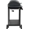 vidaXL - Barbecue - Zwart - Staal
