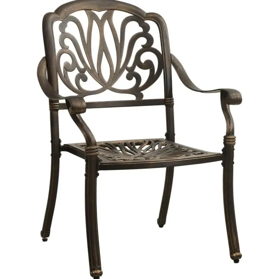 vidaXL - Bistroset - Bruin - Aluminium