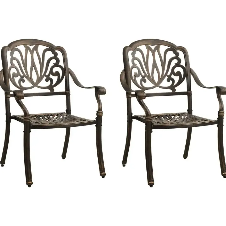 vidaXL - Bistroset - Bruin - Aluminium