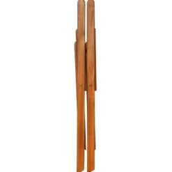 vidaXL - Bistrostoel - Bruin - Hout - 2 stuks