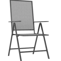 vidaXL - 5-delige verstelbare Tuinset - Antracietkleurig - Staal - 165x80 cm