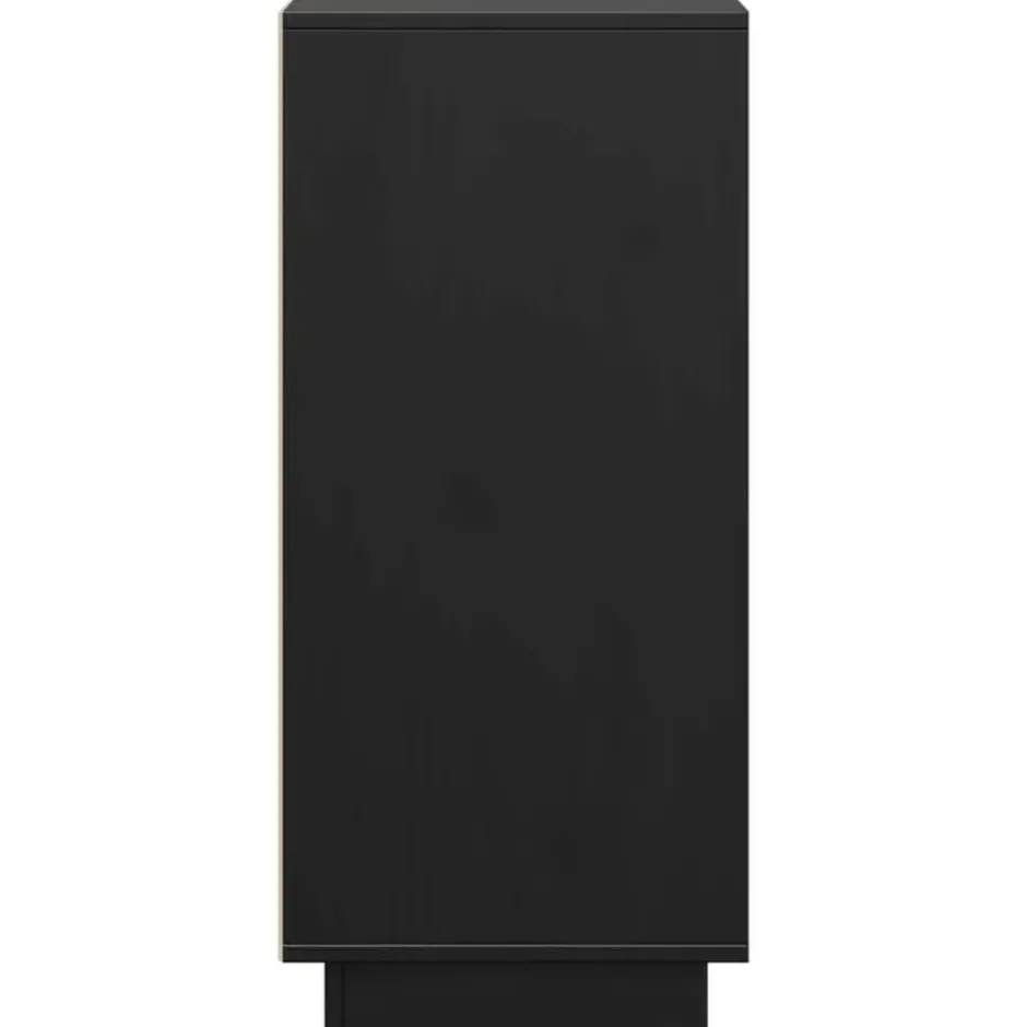 vidaXL - Dressoir - Zwart - Grenenhout - 2 stuks