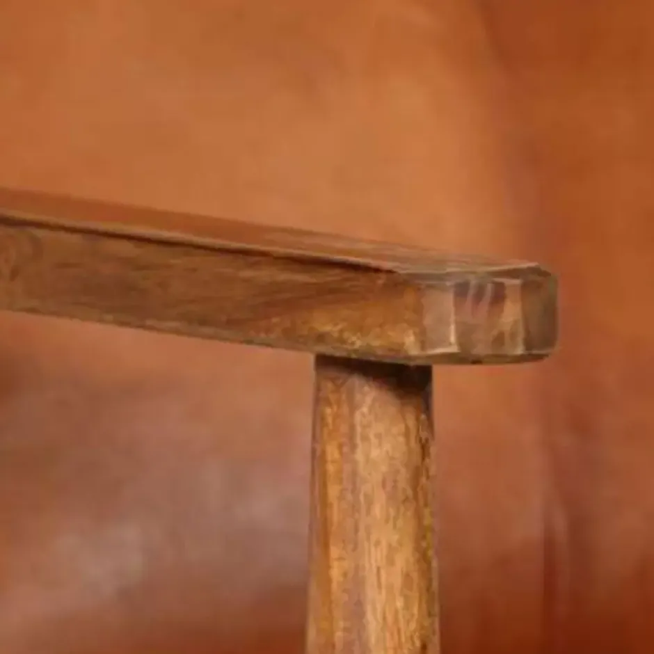 vidaXL - Fauteuil - Bruin - Leer