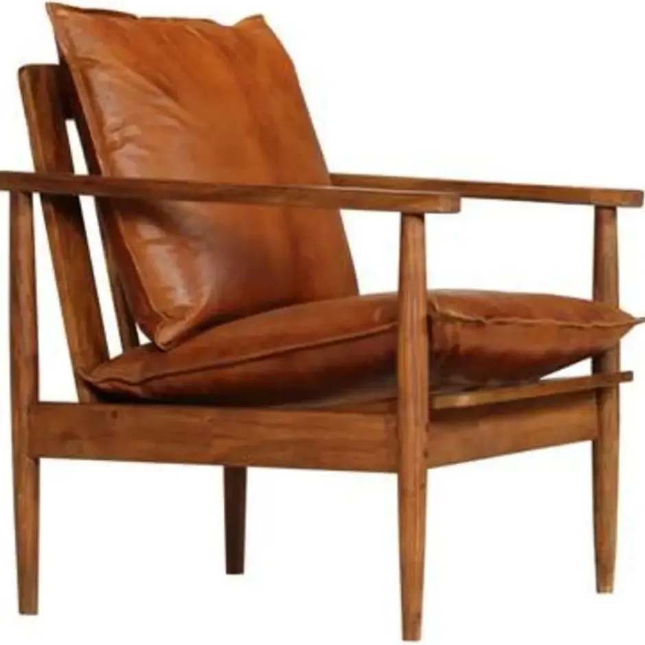 vidaXL - Fauteuil - Bruin - Leer