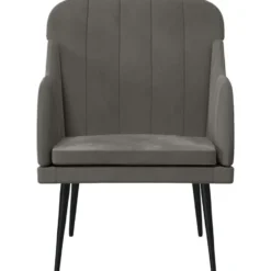 vidaXL - Fauteuil - Grijs - Fluweel