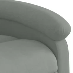 vidaXL - Fauteuil - Grijs - Fluweel