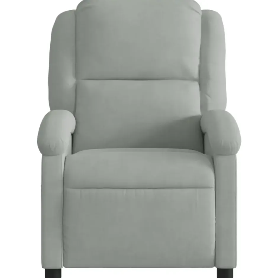 vidaXL - Fauteuil - Grijs - Fluweel