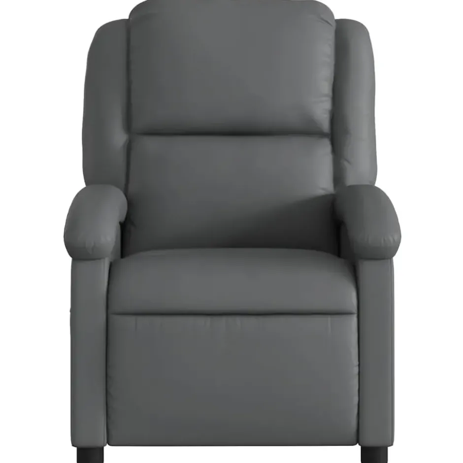 vidaXL - Fauteuil - Grijs - Kunstleer