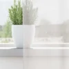 vidaXL Gordijnen van voile met roedezakken - Wit - 140x260 cm - Stof - 2 Stuks