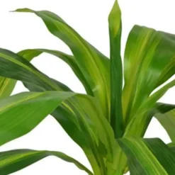 vidaXL - Kunstplant - Groen - Kunststof