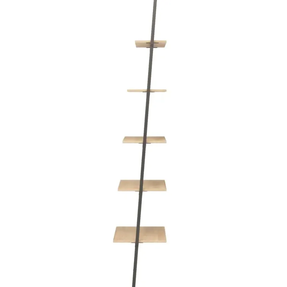 vidaXL - Ladderrek - Bruin - Bewerkt hout