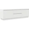 vidaXL - LED TV-meubel met 2 lades en 4 deuren - Wit - Hout - 160.5x41x50 cm