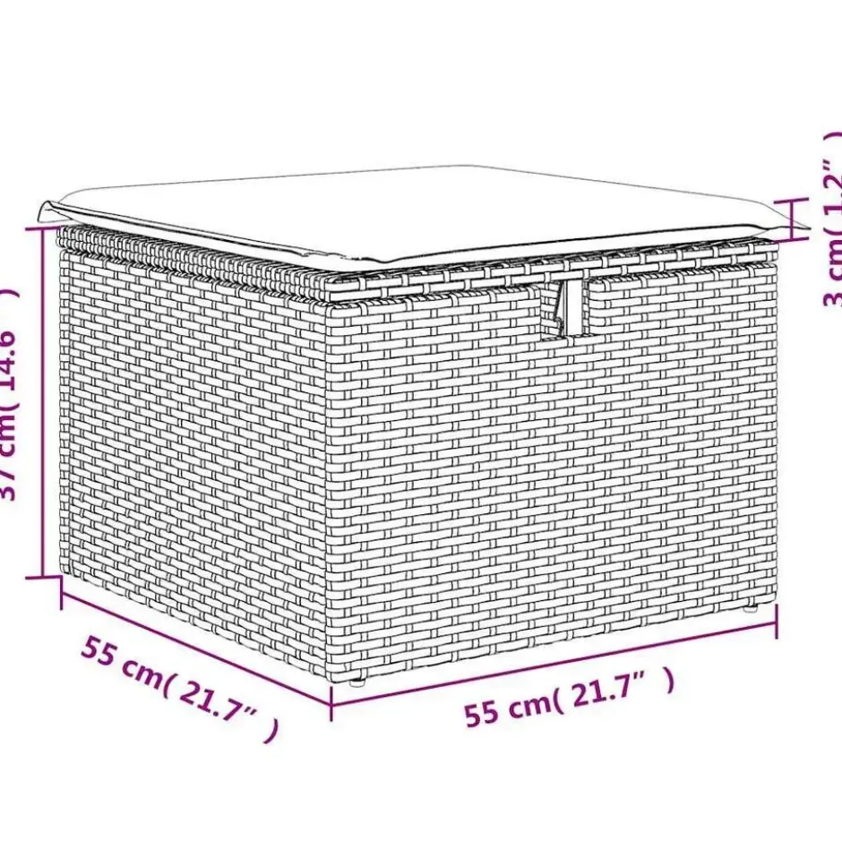 vidaXL Loungebank 2 zits met kussens poly rattan - Grijs krukken 110x55x37 cm