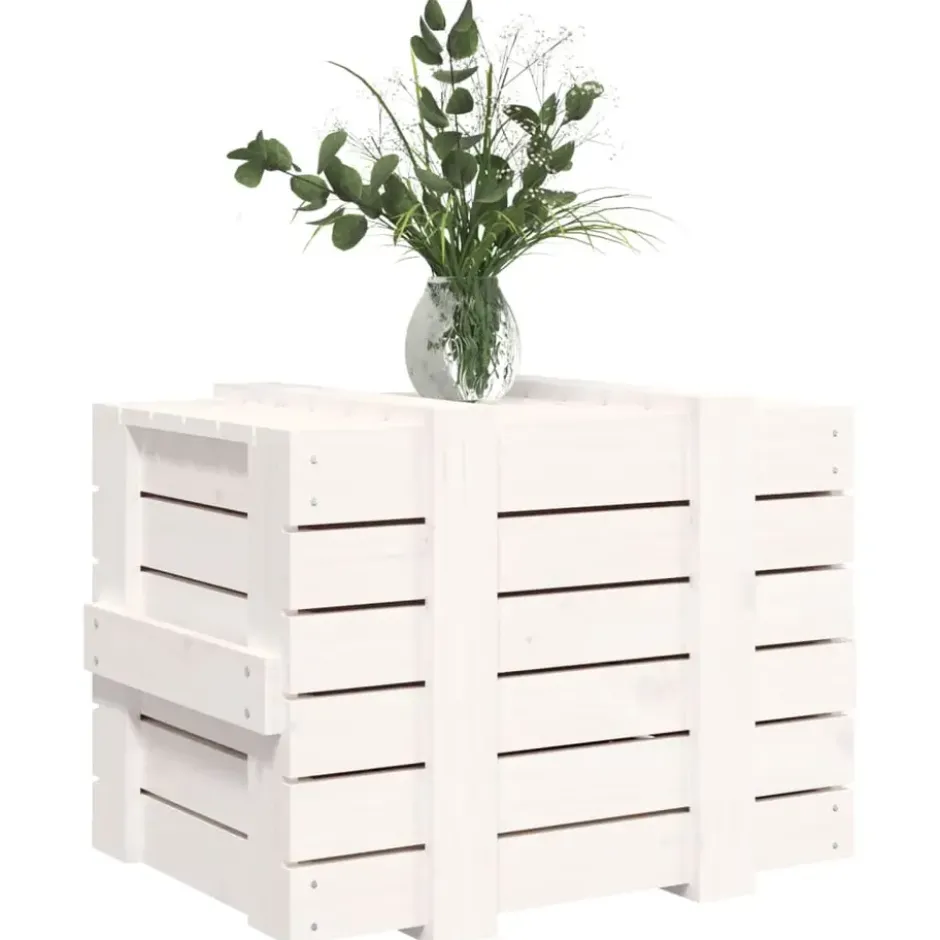 vidaXL - Opbergbox - Wit - Grenenhout - 58 x 40.5 x 42 cm