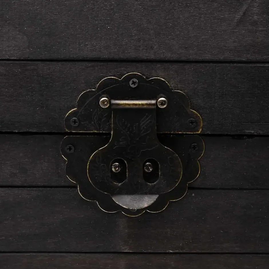vidaXL - Opbergkast - Zwart - Hout