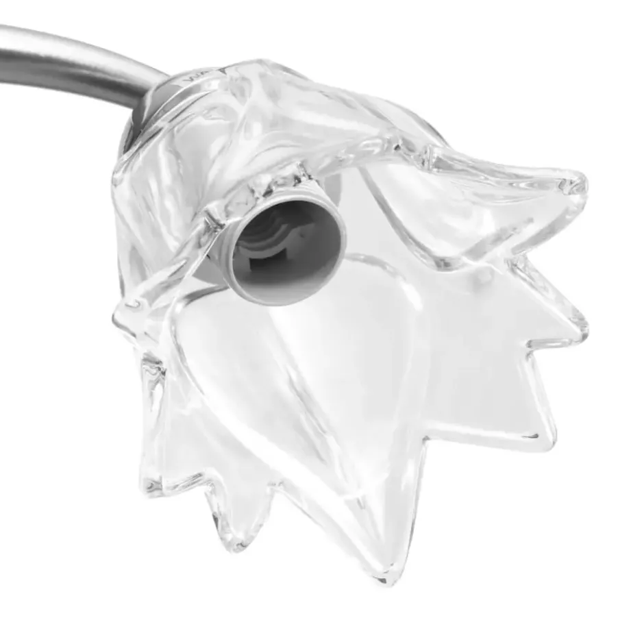 vidaXL - Plafondlamp - Transparent - Glas