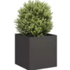 vidaXL - Plantenbak 40x40x40 cm koudgewalst staal zwart plantenbak