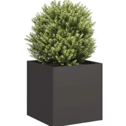 vidaXL - Plantenbak 40x40x40 cm koudgewalst staal zwart plantenbak