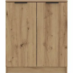 vidaXL - Schoenenkast met 2 deuren - Artisanaal eiken - Hout - 59x35x70 cm