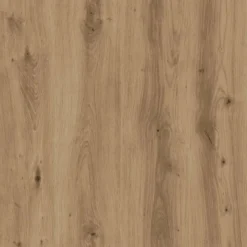 vidaXL - Schoenenkast met 2 deuren - Artisanaal eiken - Hout - 59x35x70 cm