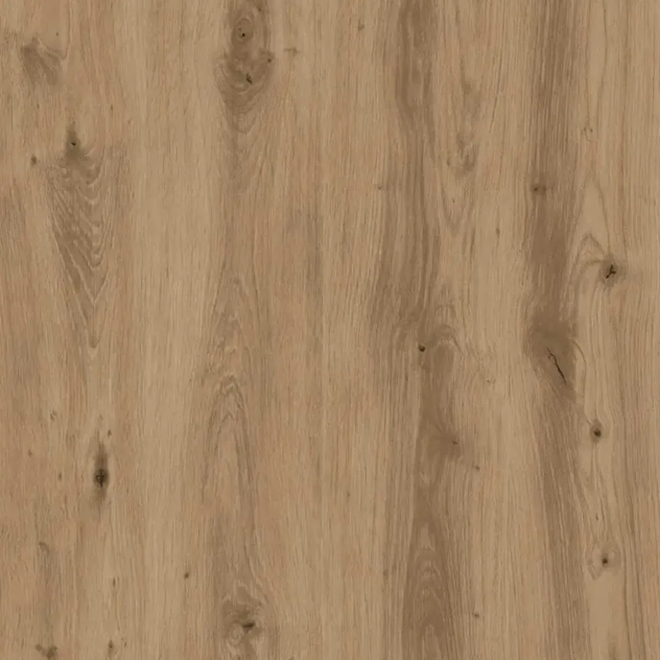 vidaXL - Schoenenkast met 1 lade 2 deuren - Artisan eiken - Hout - 60x35x84 cm