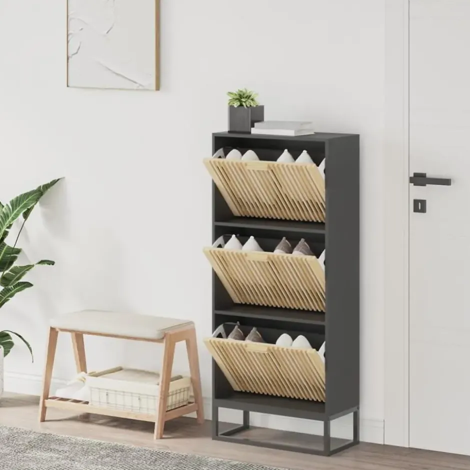 vidaXL - Schoenenkast 6 paar met 3 lameldeur - Zwart - Hout - 52x25x120 cm
