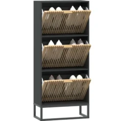 vidaXL - Schoenenkast 6 paar met 3 lameldeur - Zwart - Hout - 52x25x120 cm