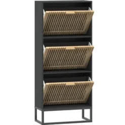 vidaXL - Schoenenkast 6 paar met 3 lameldeur - Zwart - Hout - 52x25x120 cm