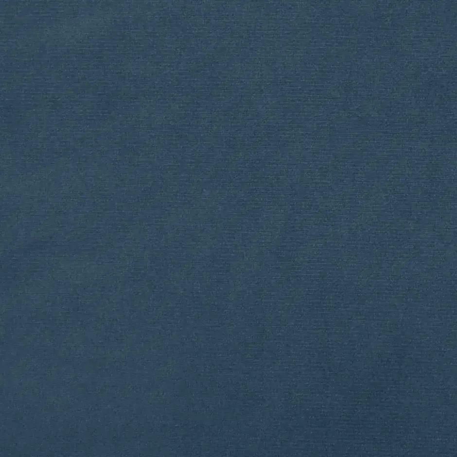 vidaXL Slaapbank 2-zits met verstelbare helling - Blauw fluweel - 200 cm