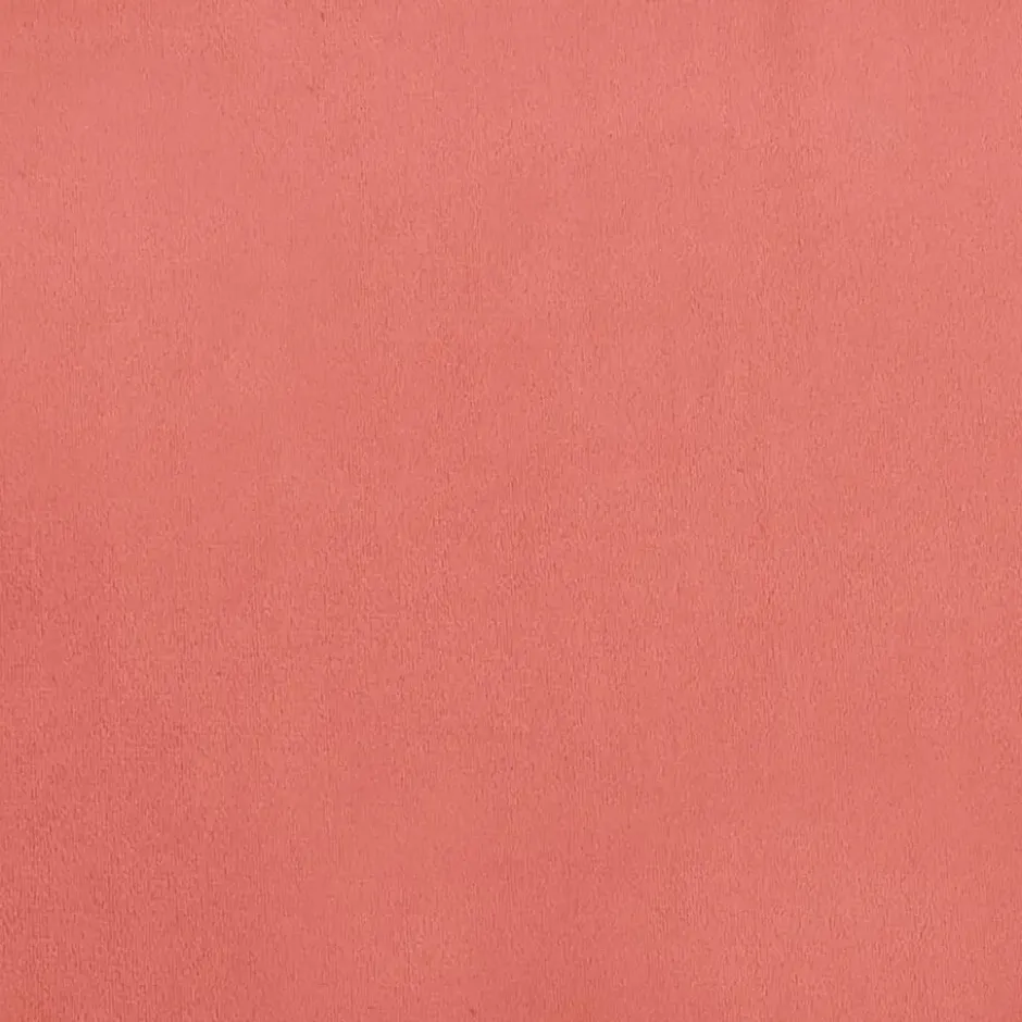 vidaXL - Slaapbank 2-zits - Roze - Fluweel - Met kussens