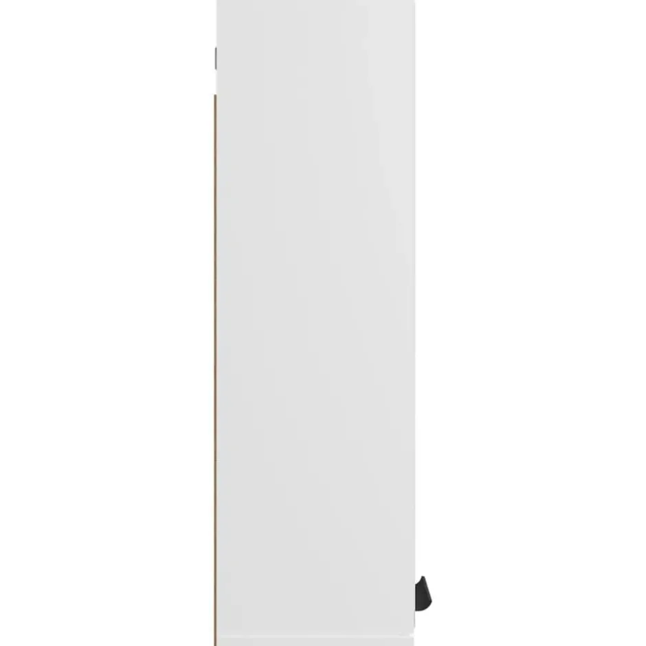 vidaXL - Spiegelkast met plank - Wit - Bewerkt hout en acryl - 64x20x67 cm