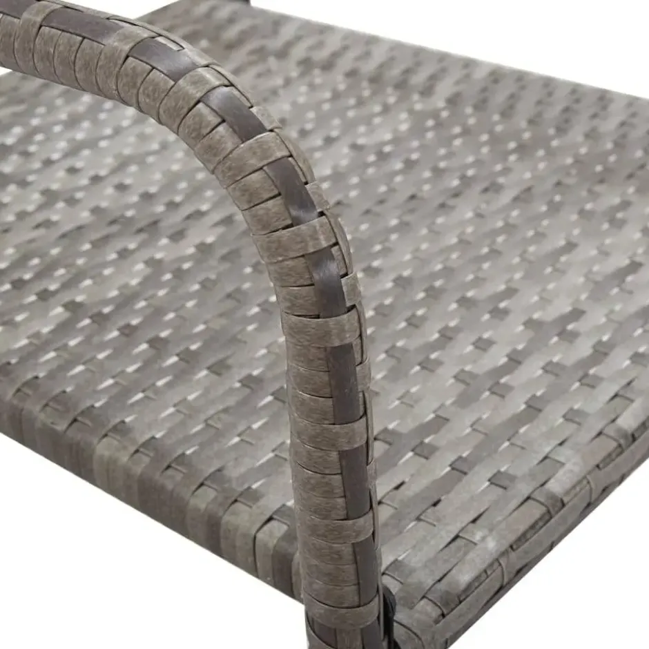 vidaXL - Stapelstoelen - Grijs - Poly rattan - 2 stuks