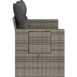 vidaXL - Tuinbank 2-zits - Grijs - Poly rattan - Met kussens