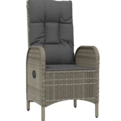 vidaXL - Tuinstoelen - Armsteun- Grijs - Poly rattan - 2 stuks - 57x62,5x109 cm