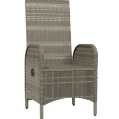 vidaXL - Tuinstoelen - Armsteun- Grijs - Poly rattan - 2 stuks - 57x62,5x109 cm