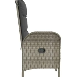 vidaXL - Tuinstoelen - Armsteun- Grijs - Poly rattan - 2 stuks - 57x62,5x109 cm