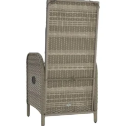 vidaXL - Tuinstoelen - Armsteun- Grijs - Poly rattan - 2 stuks - 57x62,5x109 cm