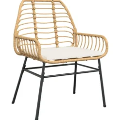 vidaXL - Tuinstoelen - Kussens - Bruin - Poly rattan - 2 stuks